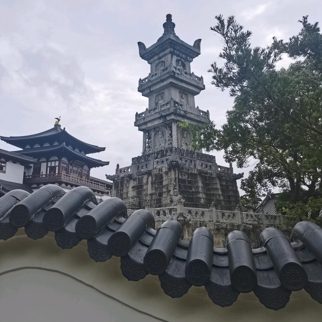 糊涂