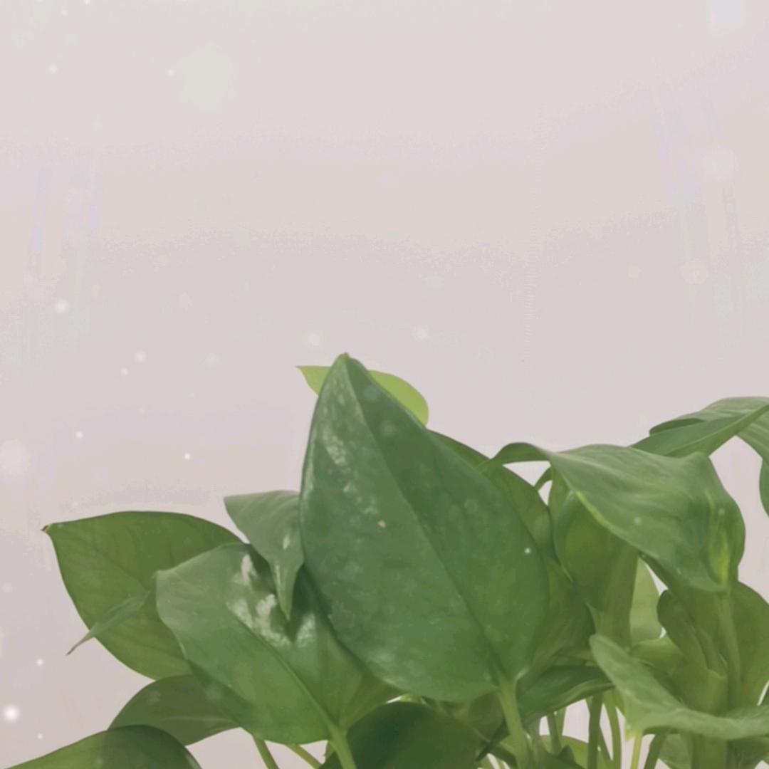 养老社保李老师