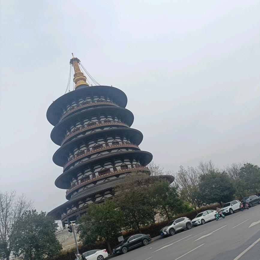 多多自然流天花板