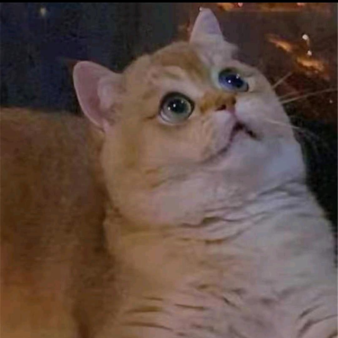 洗车人，专业卖货。