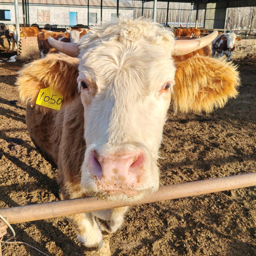 ༽㊙༼有钱༒最美 ༽㊙༼