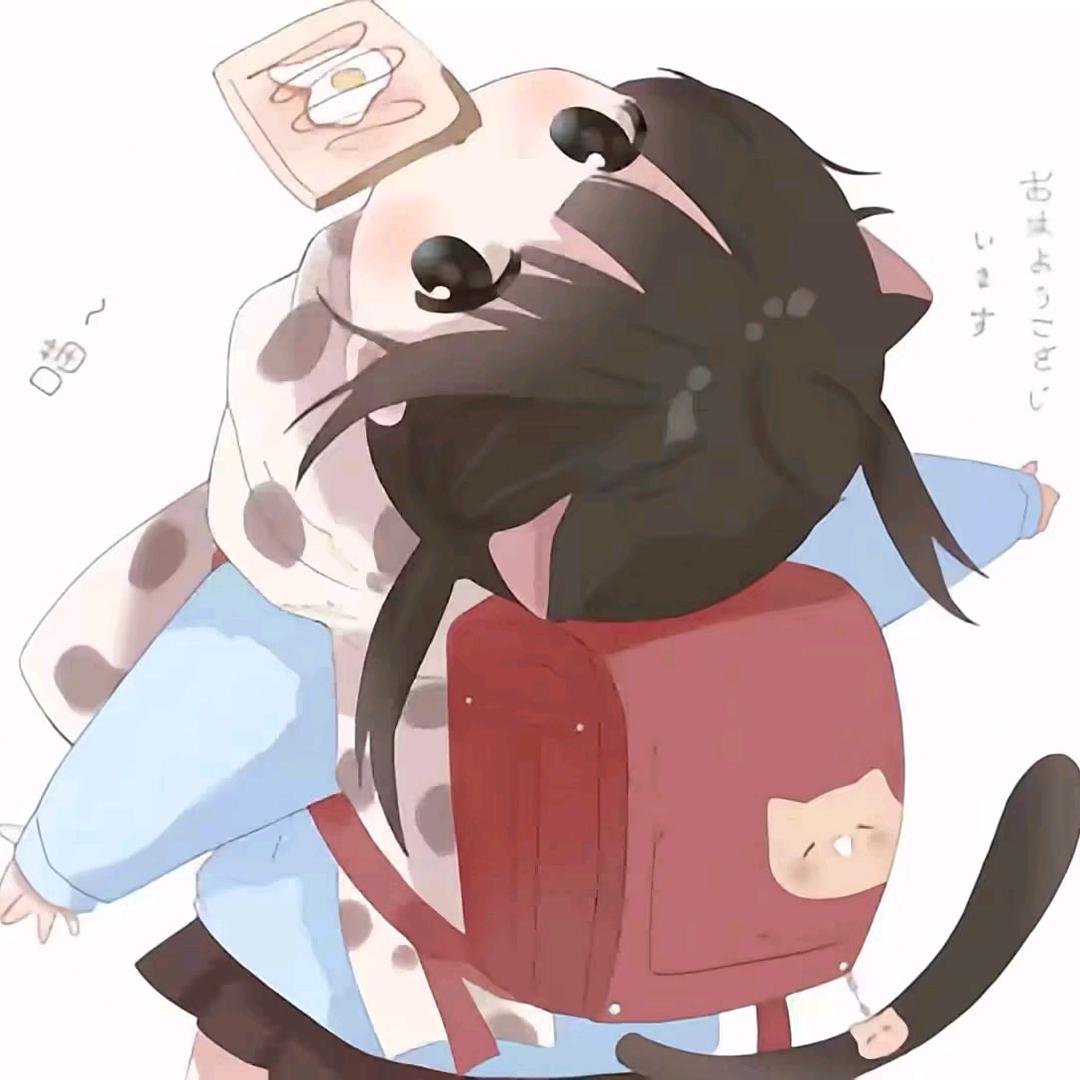 感野猫