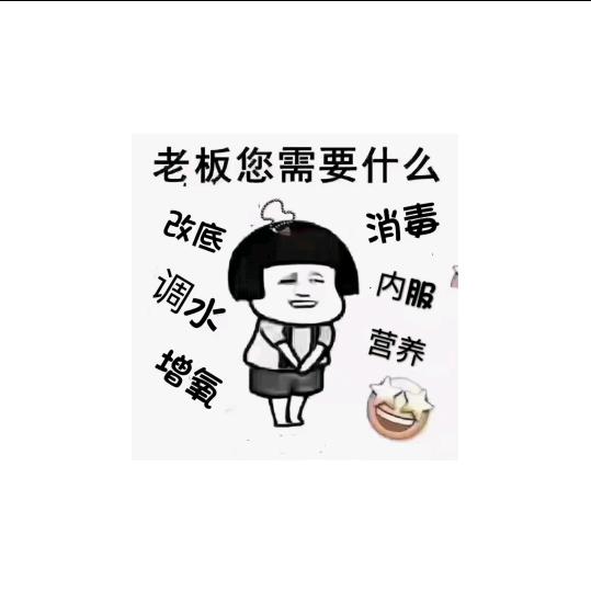 丽景阳春