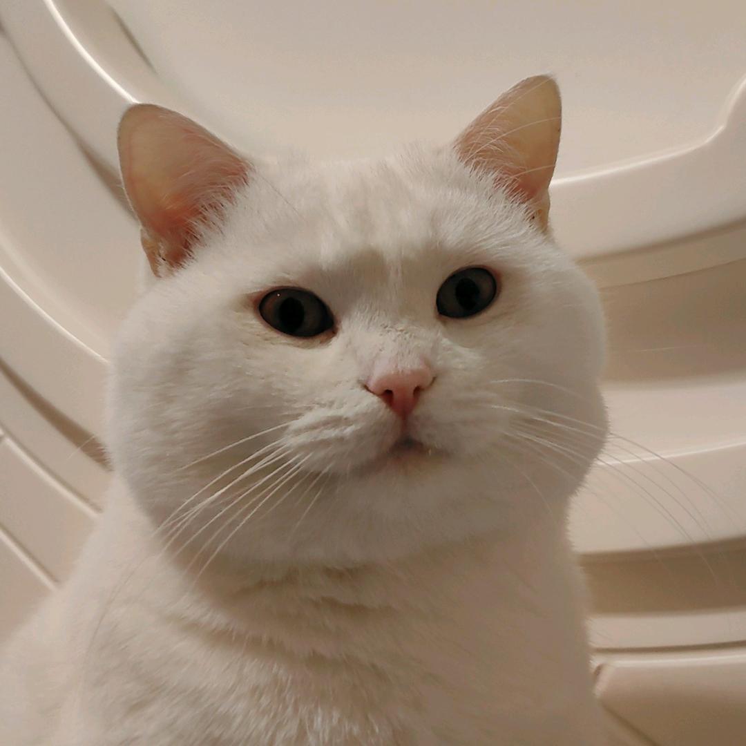 爱意