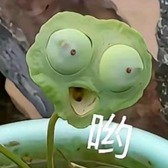 谢了哦