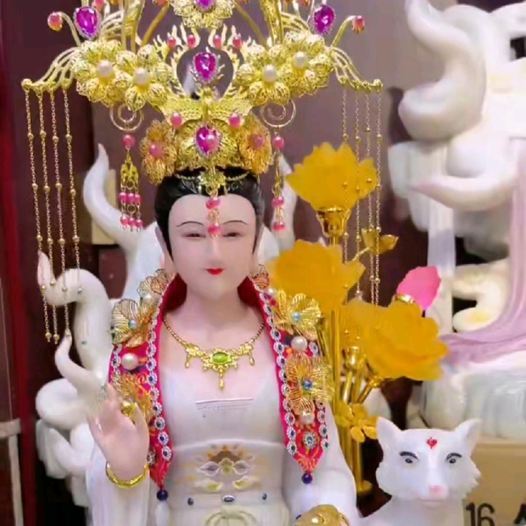 莲花盛世