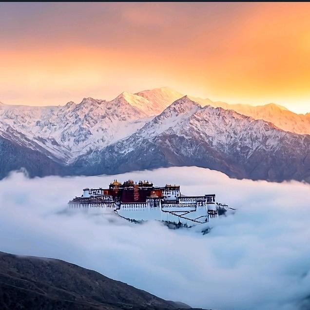 🪲生命是一场轮回