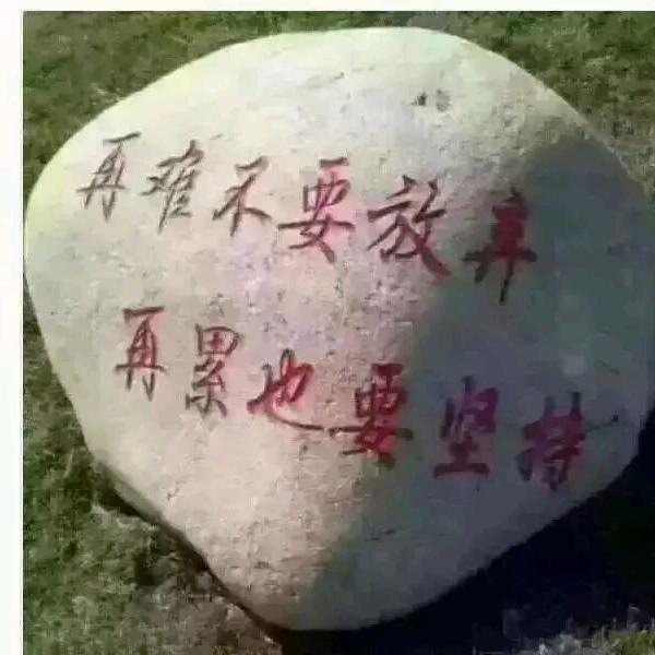 清河安庆人