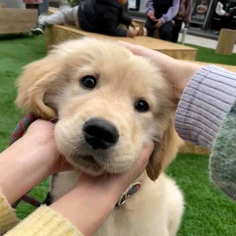 路路（黑化版）