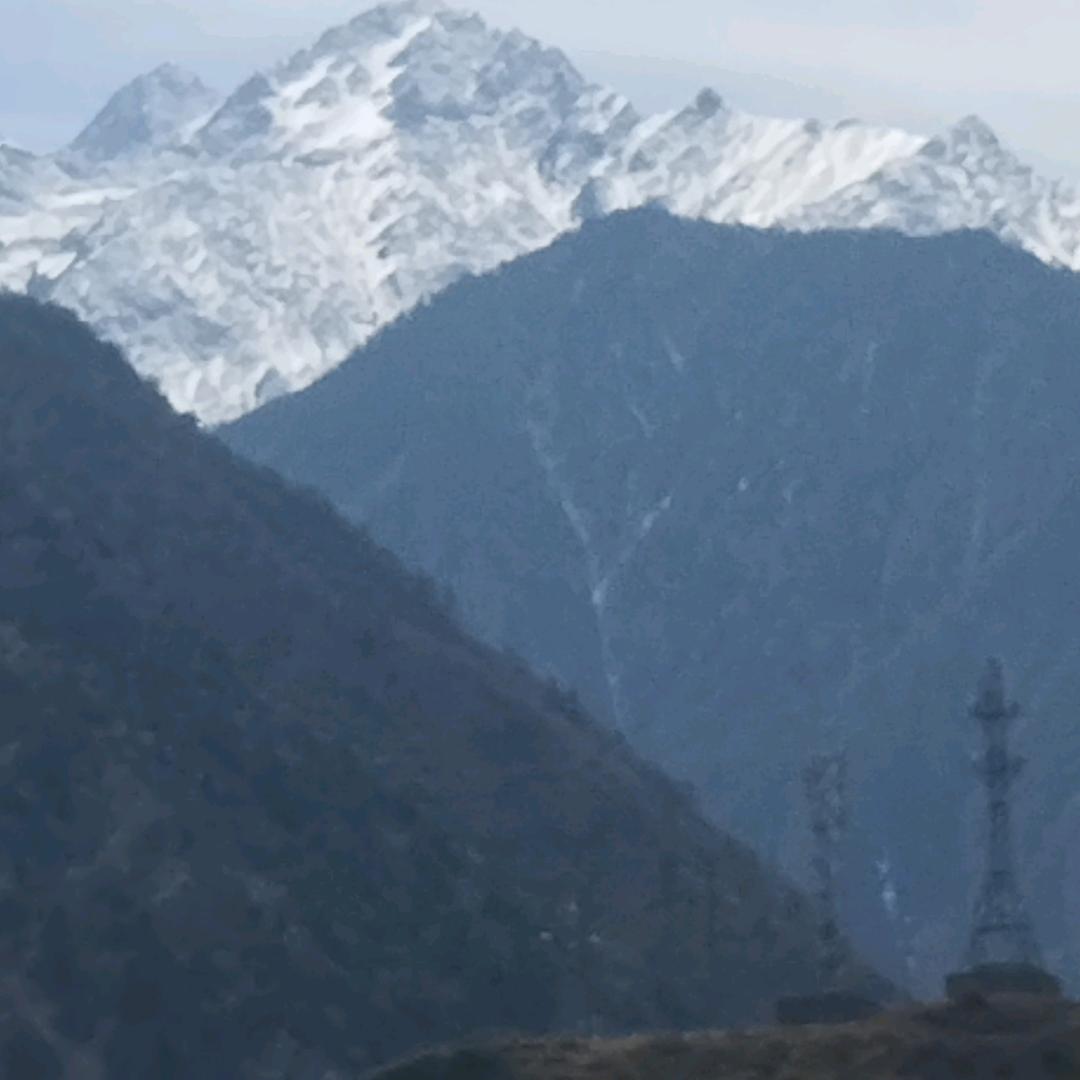 陈小洪