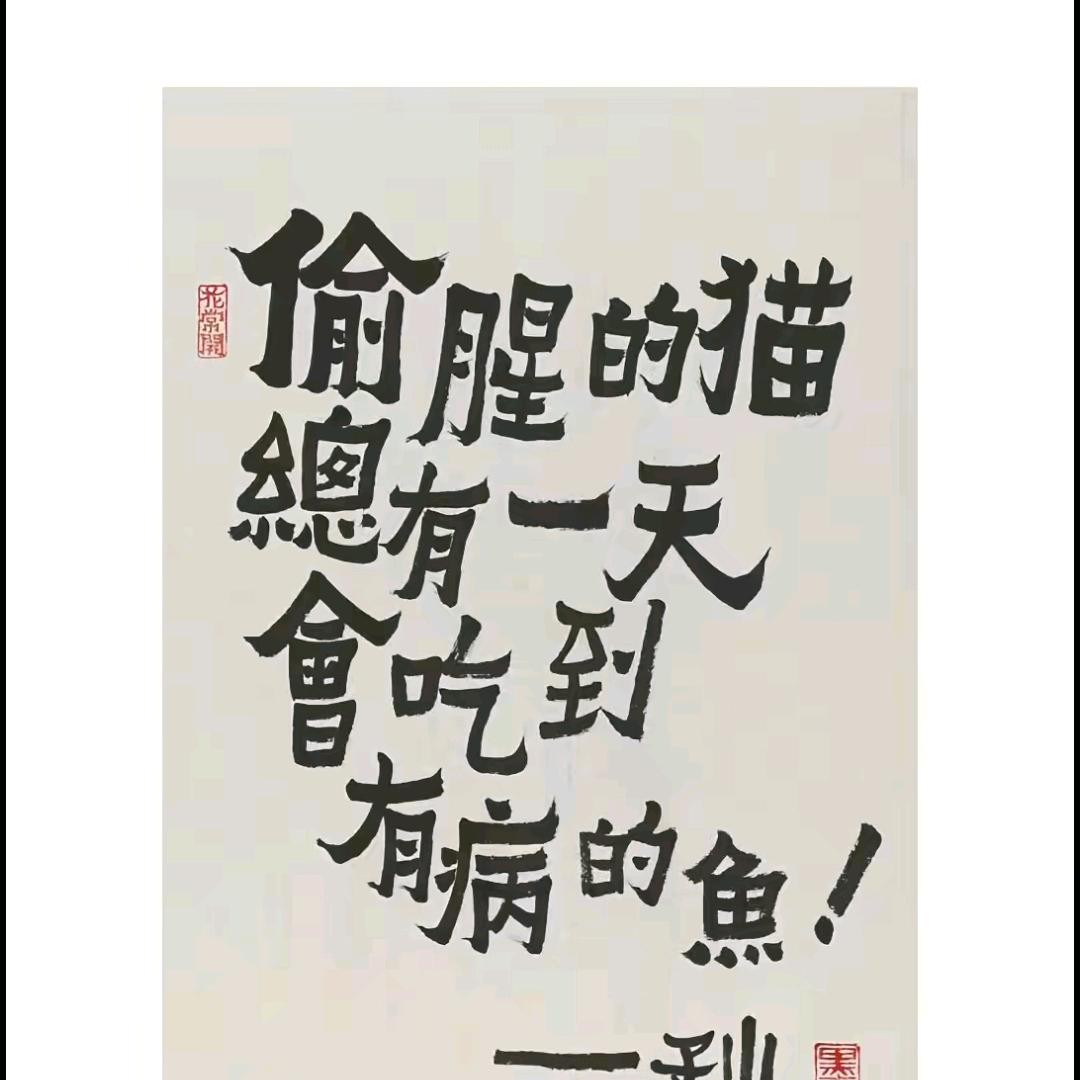 野猫○☉◎●〇