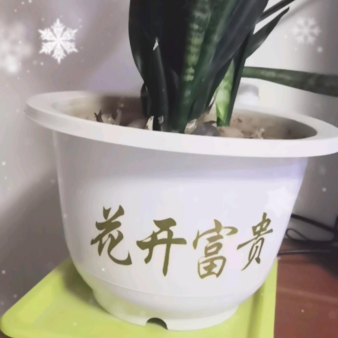 铃儿