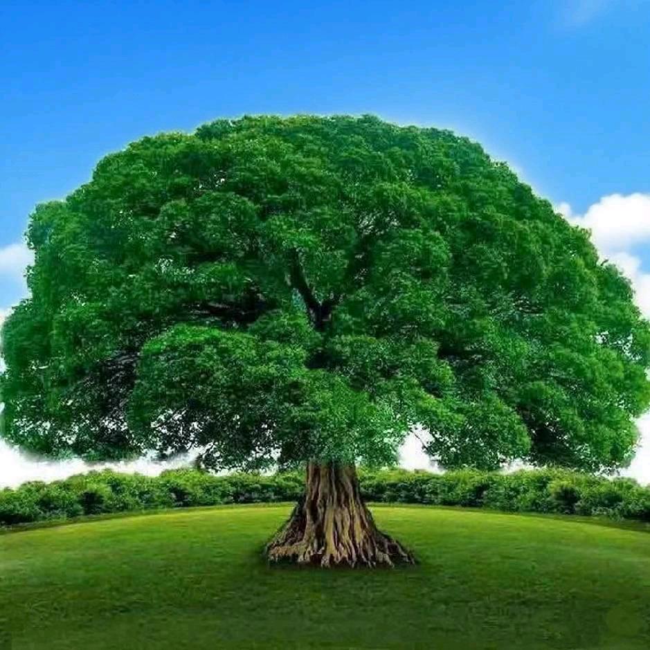 善良有度  <<荣>>