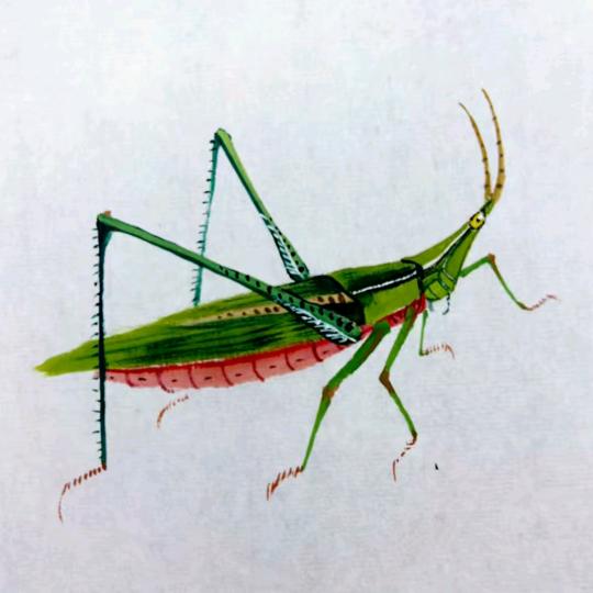 A🐉🐉🉑🉑西🍐🐲头像