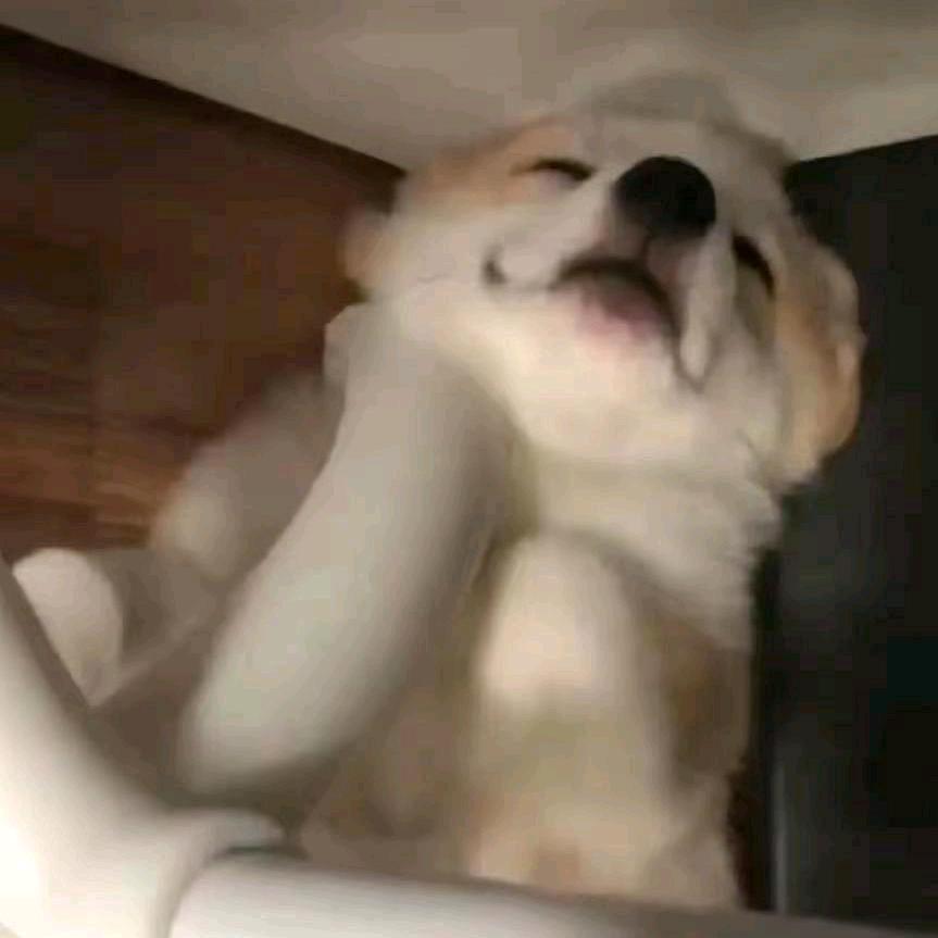 小雷！