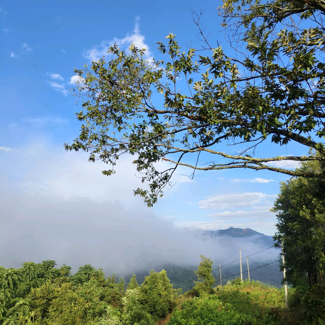 如果时间可以重来一次