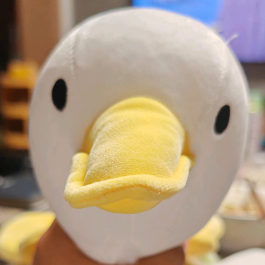 🌈🌈一滴梅花