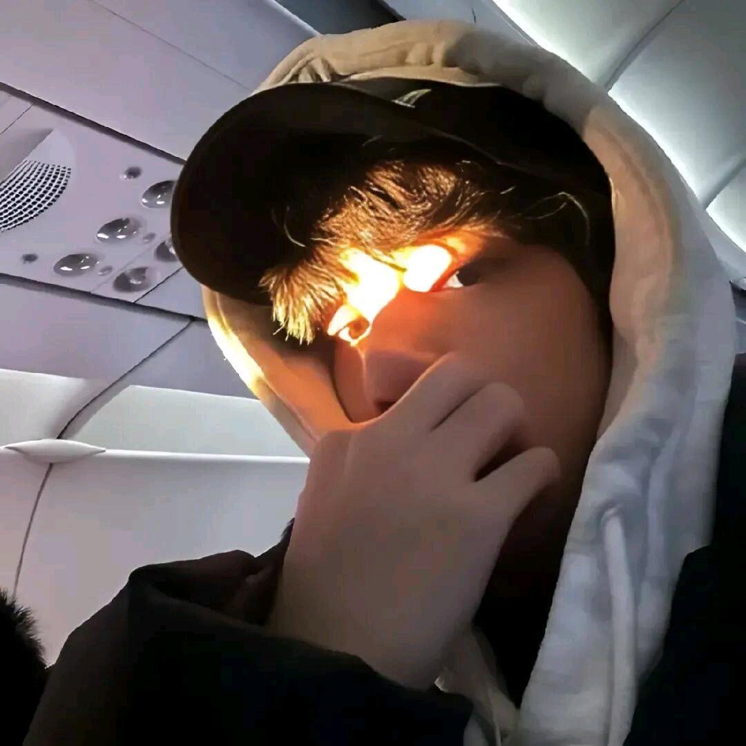 梧桐