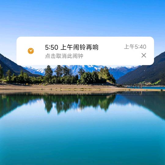不二菜