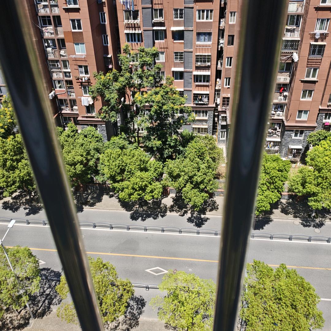 二哥🐮氓