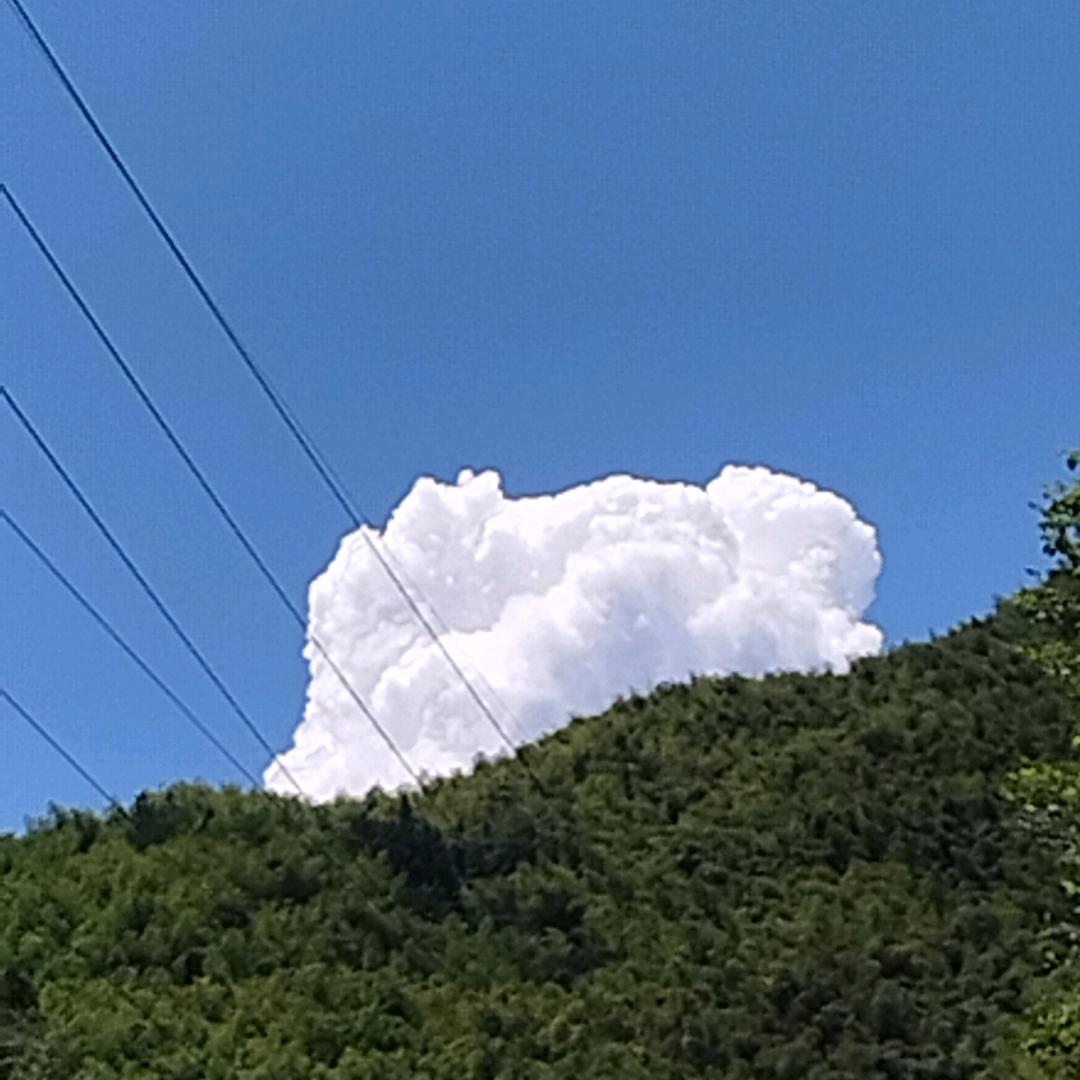 小曹