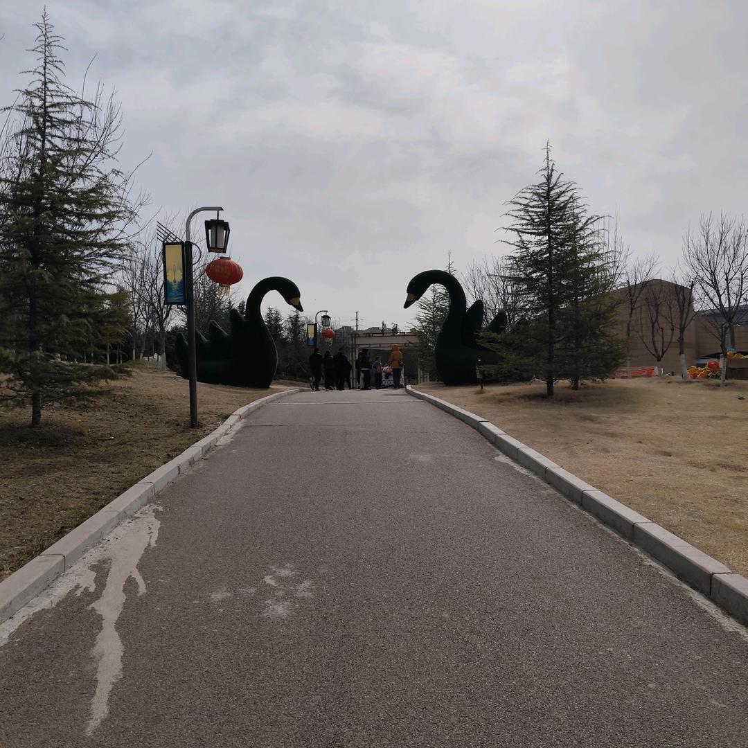 大个子羊肉泡店💐🌷🌷