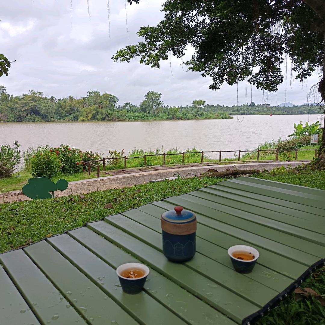 桃李春风一杯酒