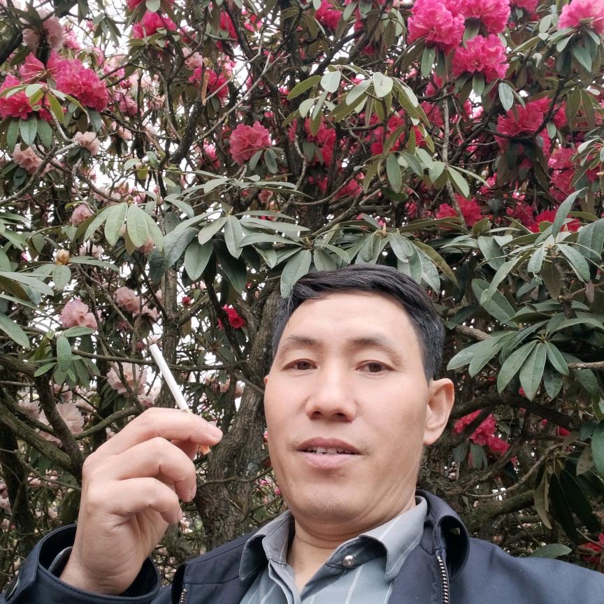 忠林
