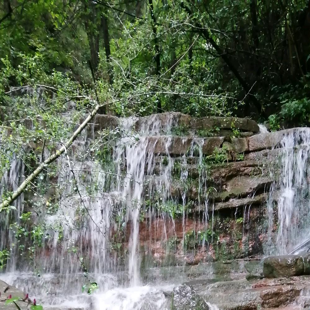 杨家塝流水生态鱼场