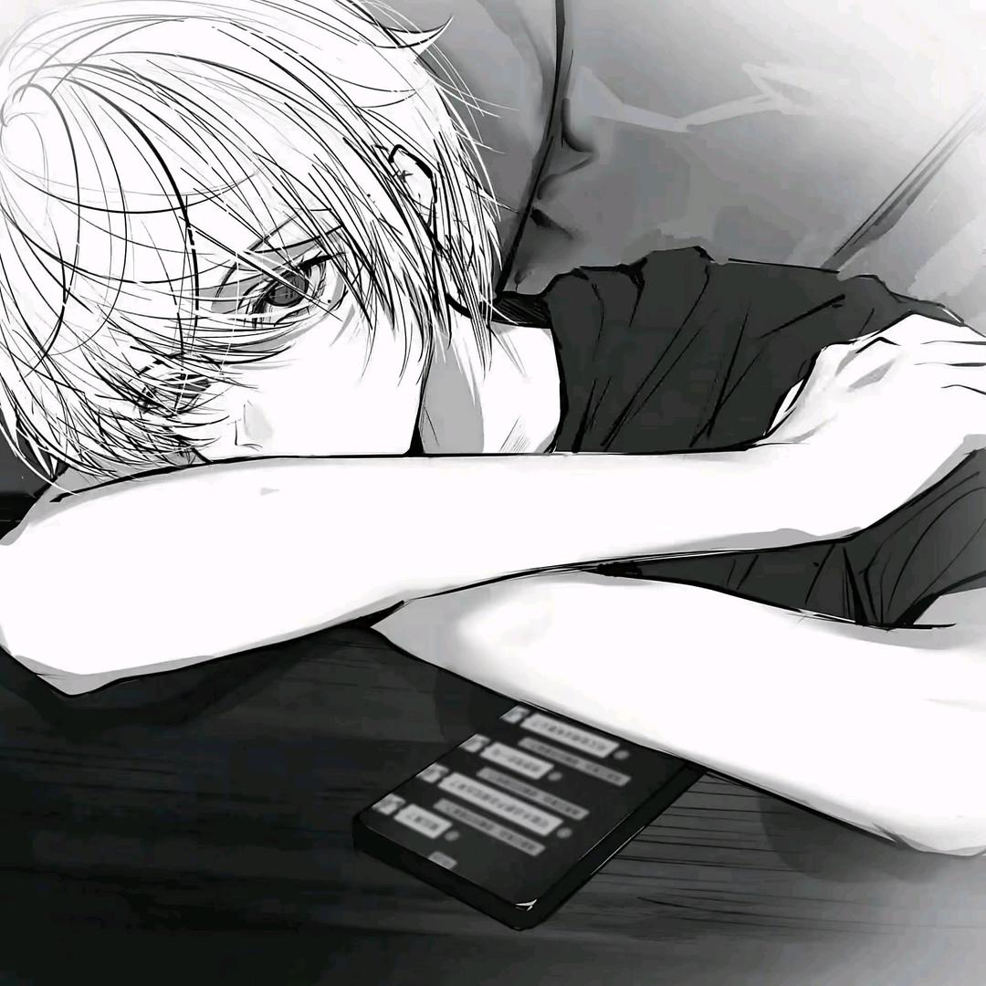 孤鸟