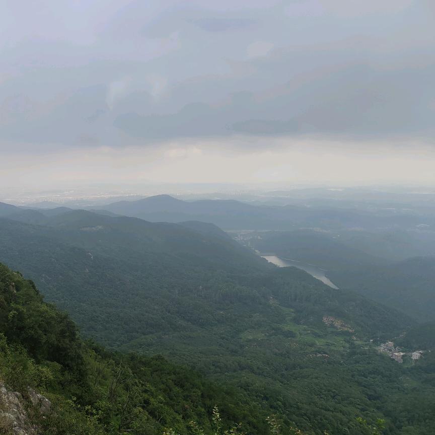 挖机小陳