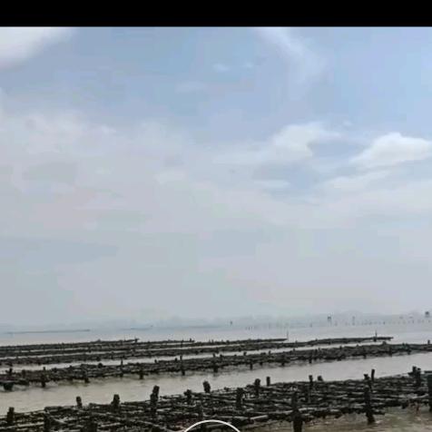 去哪玩