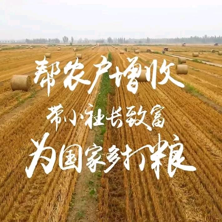 张效伟（金丰公社）