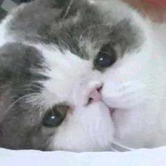 炒米线
