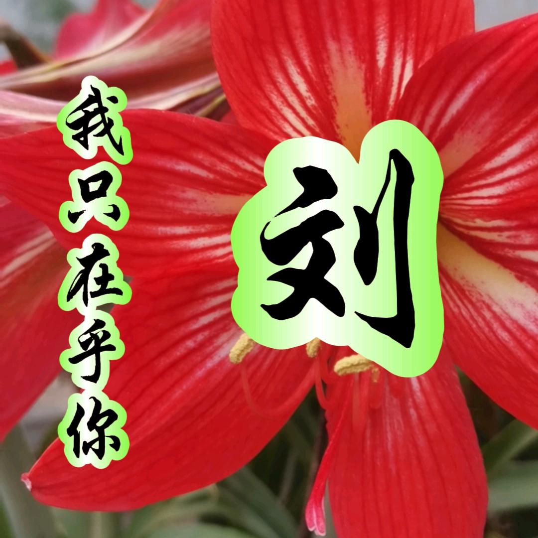 知足常乐🍎