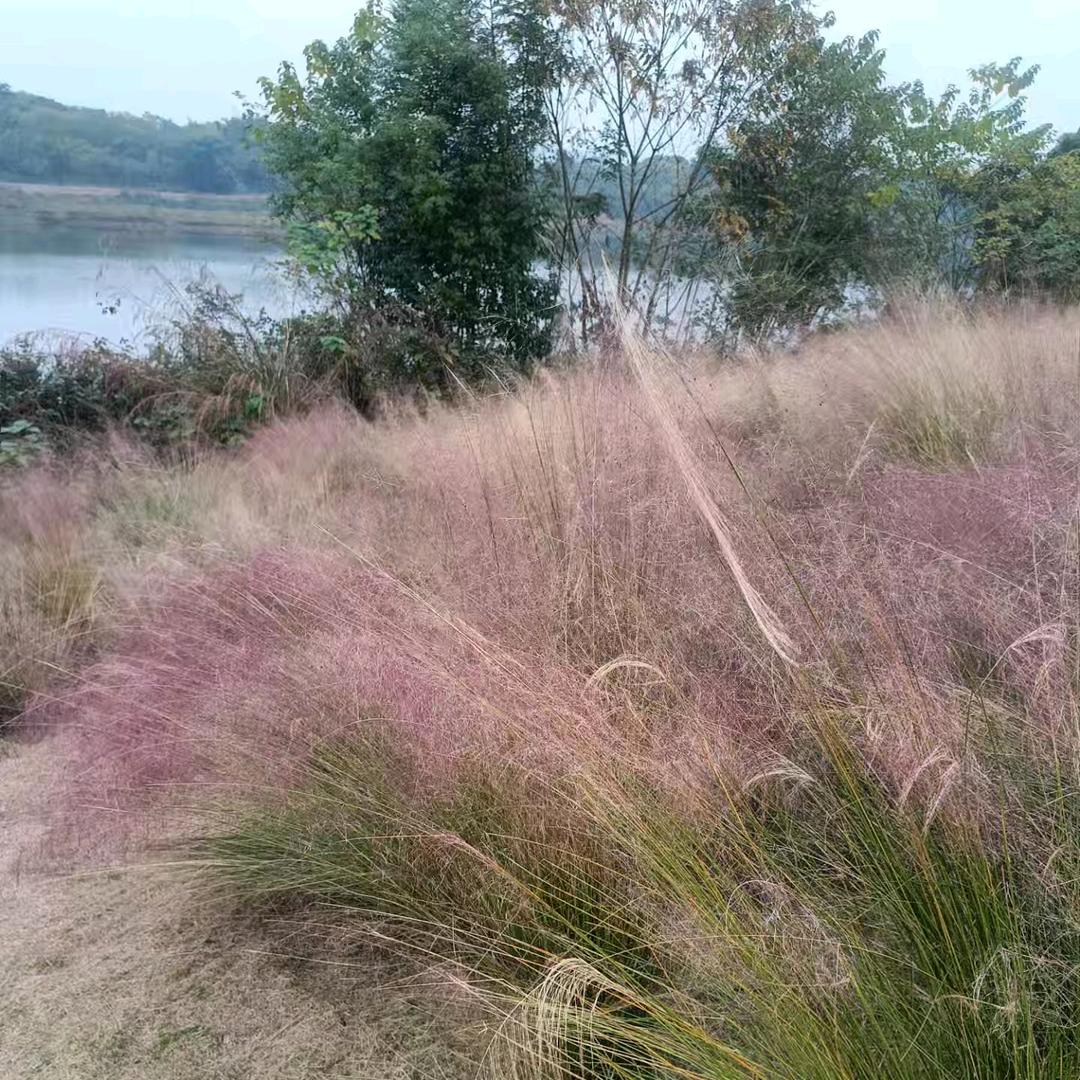 天黑路滑人心杂!