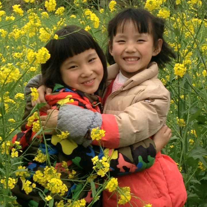山峰灵芝