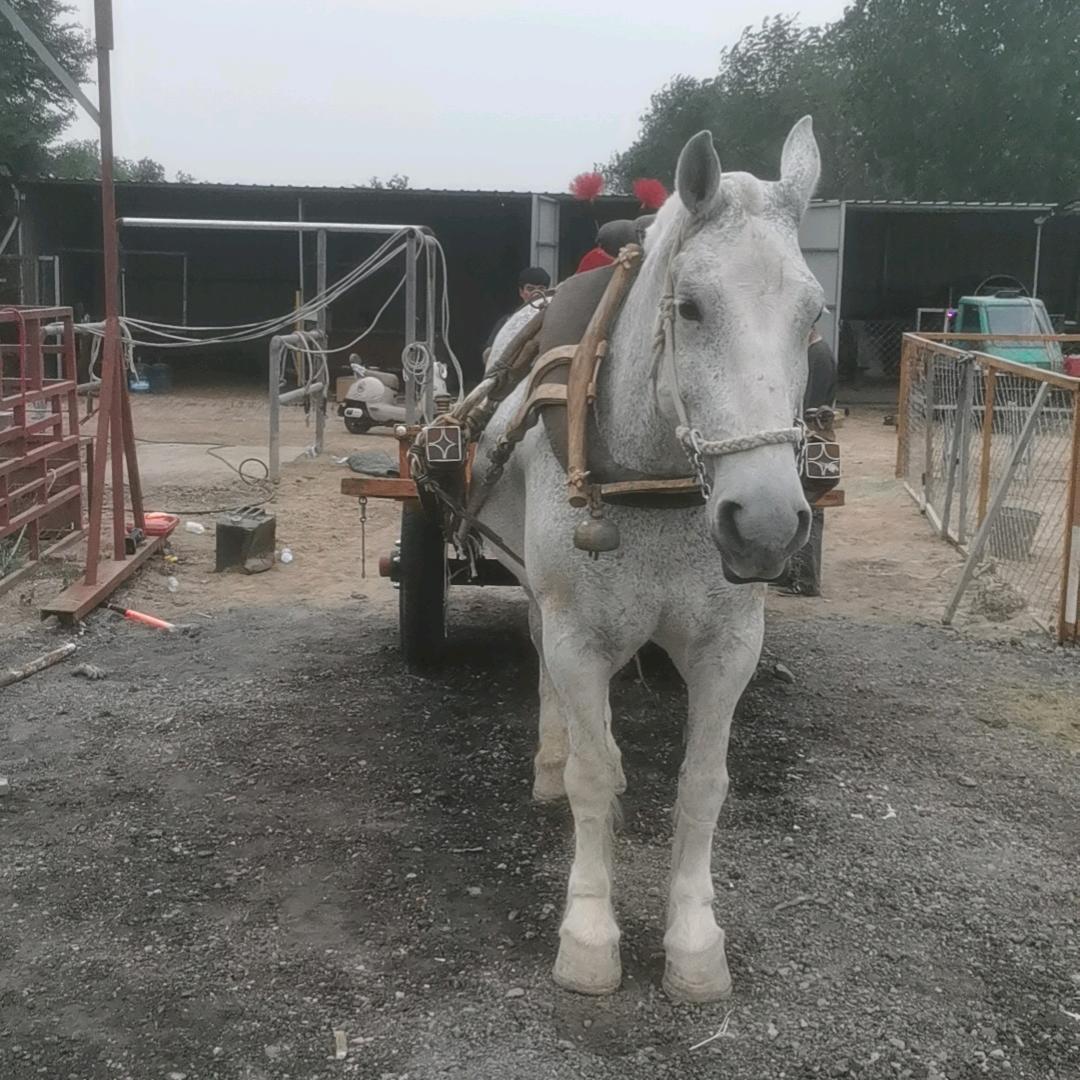 🐴鞠官屯🐴清泉🐴浴池🐴