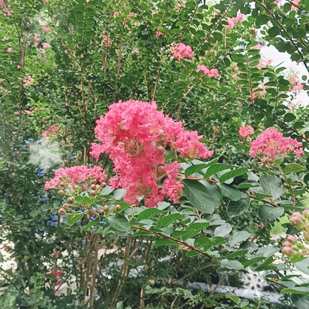 🌺广东清远市阳山小蜜蜂货运💐💐