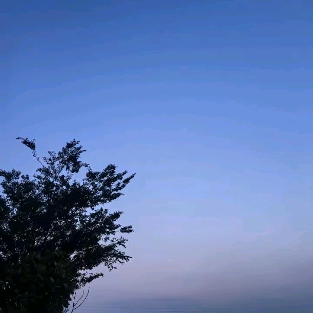 醉心灬梦
