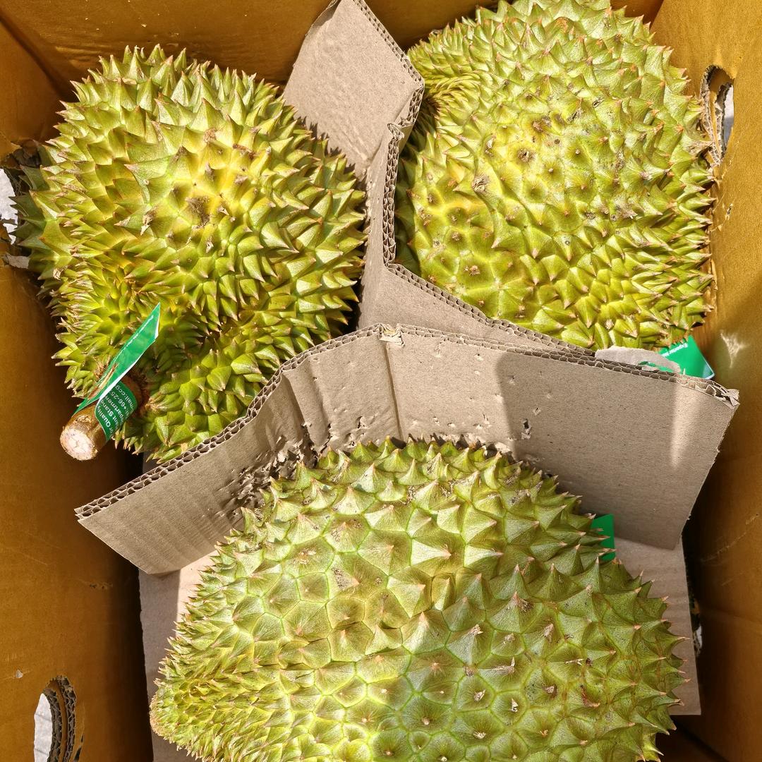 🇨🇳榴莲芒果🥭🇨🇳