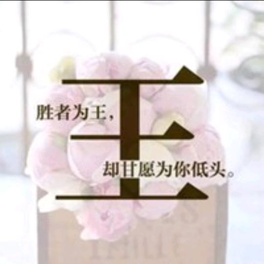 🐰毛毛🐰