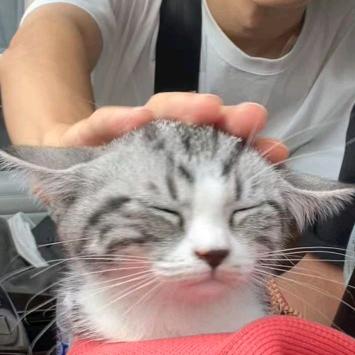 瀚文的布兜