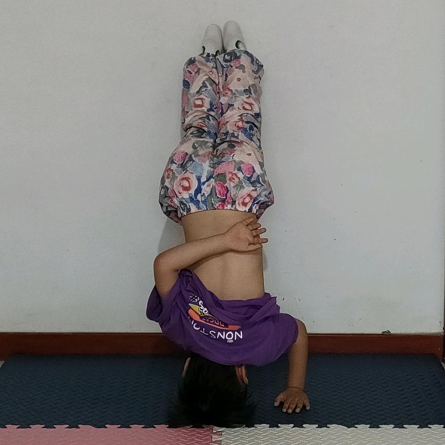 焦糖布丁崽崽🍮