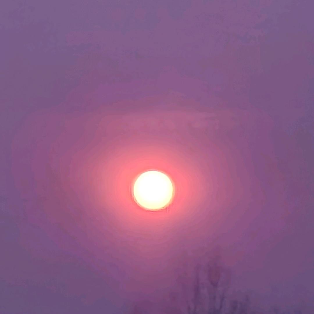 一只小肉包(爱吃零食版)