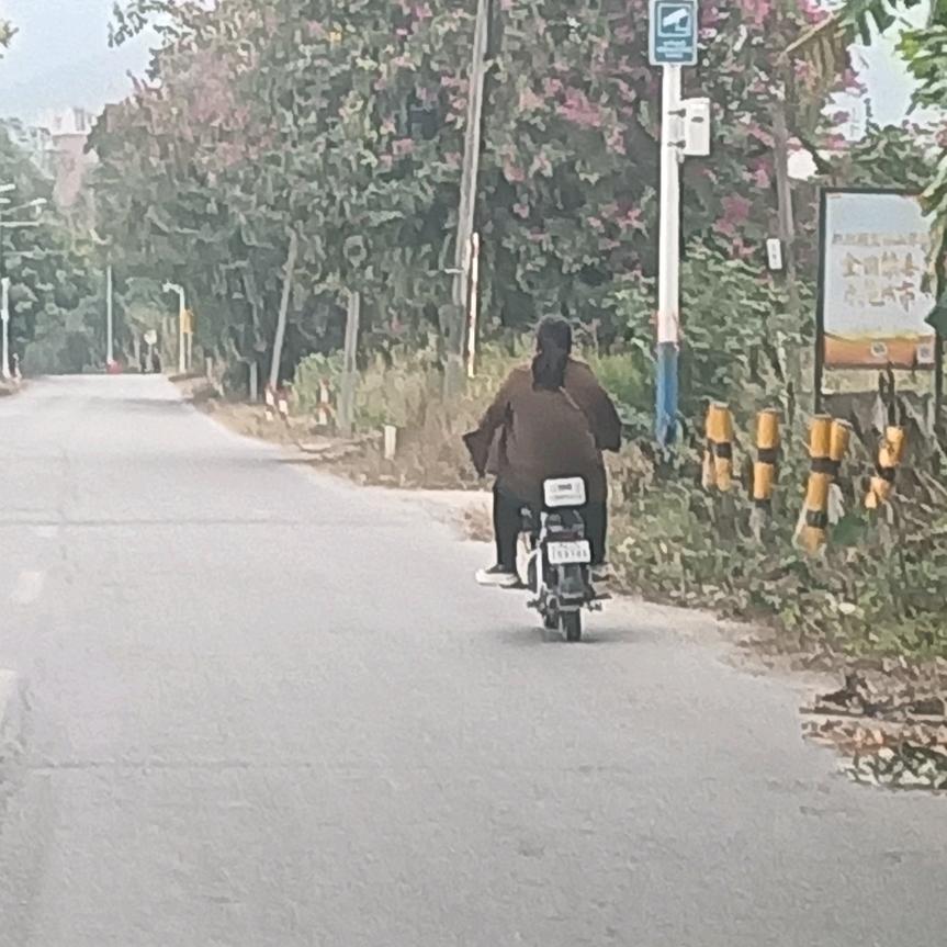 单车少女