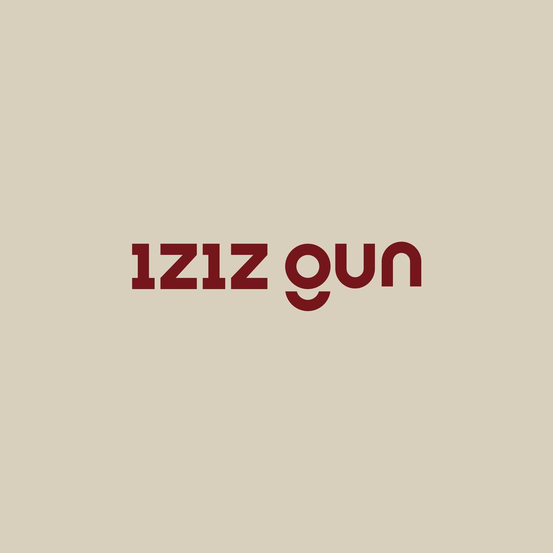 1只衮1Z1ZGUN