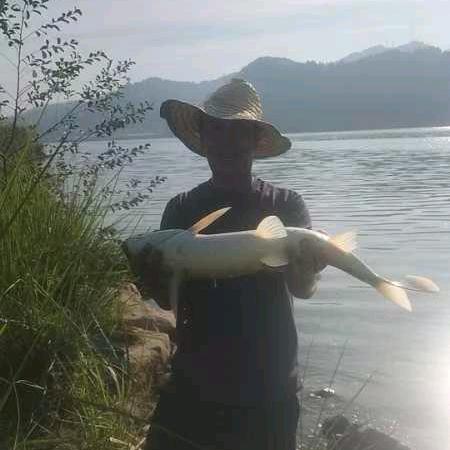 野钓刘