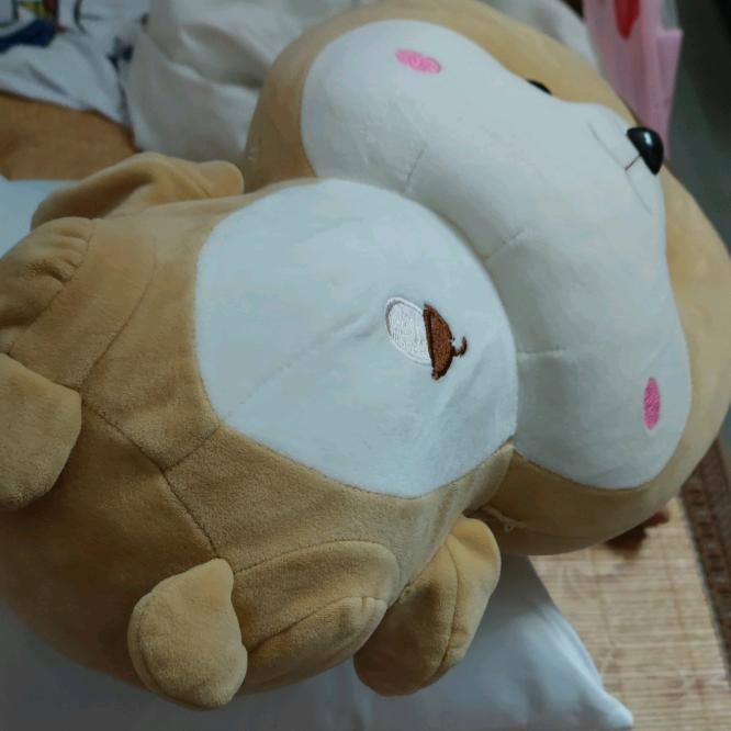 switch卡带一天一块出租也可以交换