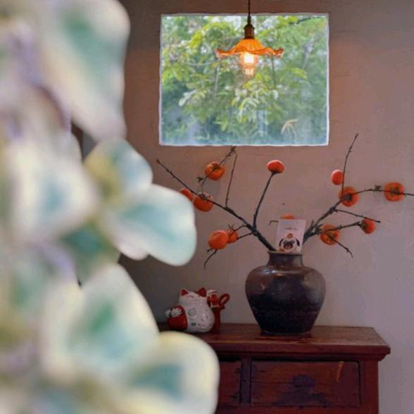 ✨喜欢*你的笑🌈